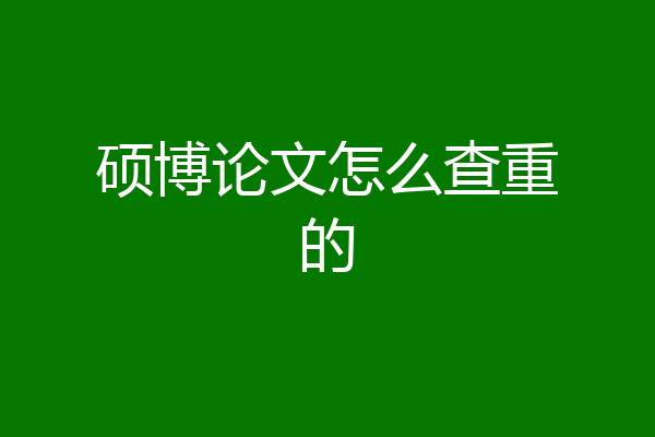 硕博论文怎么查重的