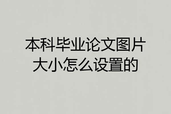 本科毕业论文图片大小怎么设置的
