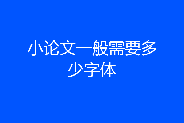 小论文一般需要多少字体