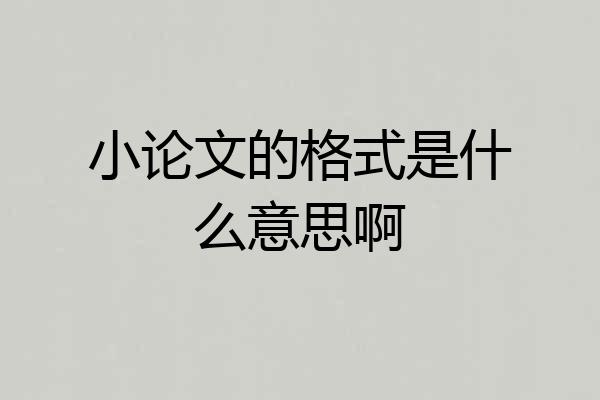 小论文的格式是什么意思啊