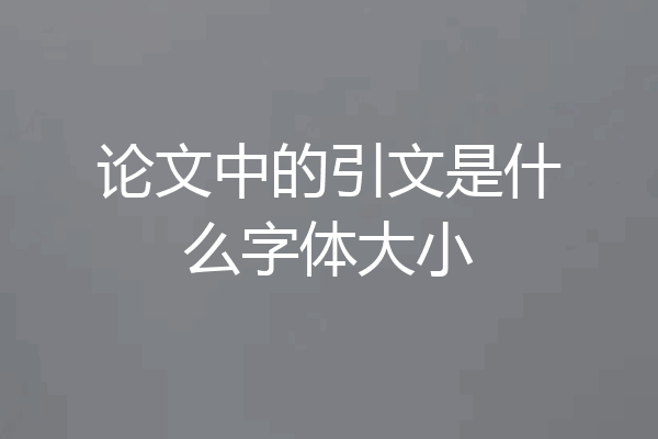 论文中的引文是什么字体大小