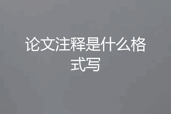 论文注释是什么格式写