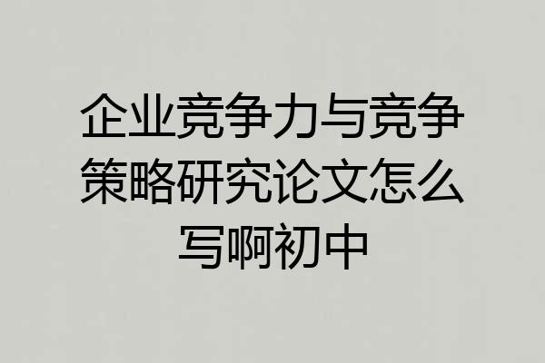 企业竞争力与竞争策略研究论文怎么写啊初中