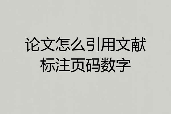 论文怎么引用文献标注页码数字
