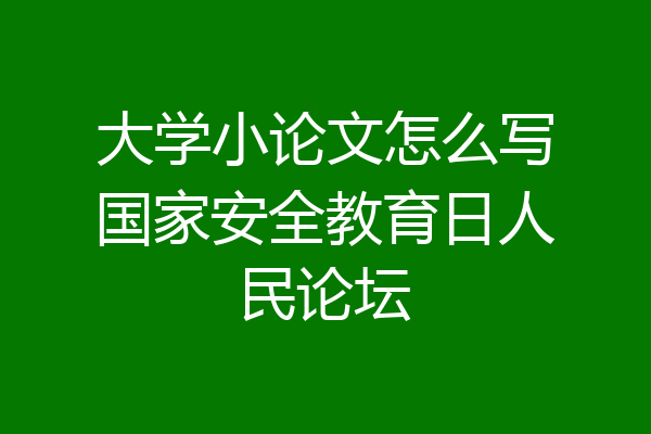 大学小论文怎么写国家安全教育日人民论坛
