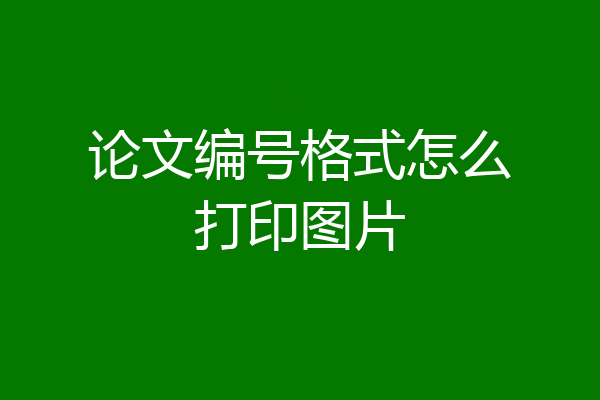 论文编号格式怎么打印图片
