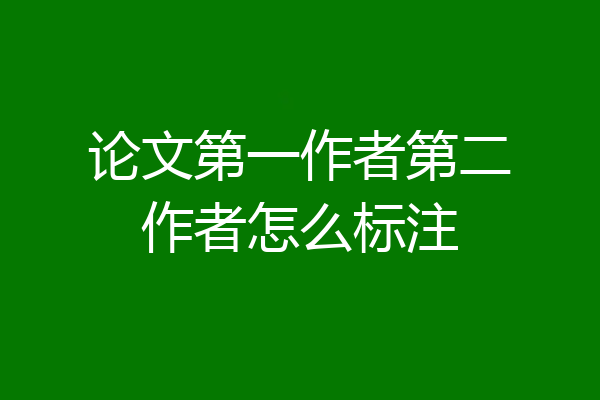 论文第一作者第二作者怎么标注