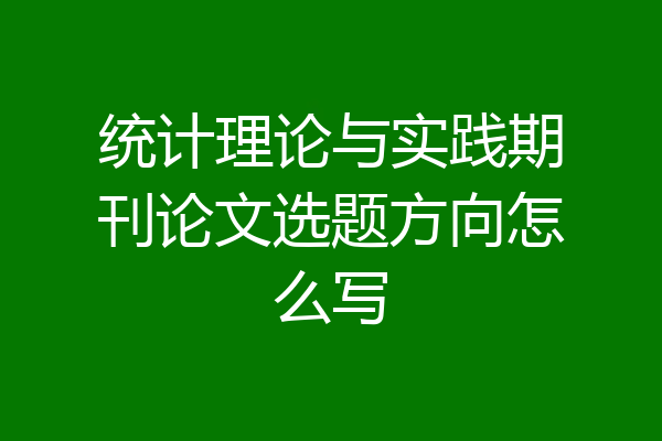 统计理论与实践期刊论文选题方向怎么写