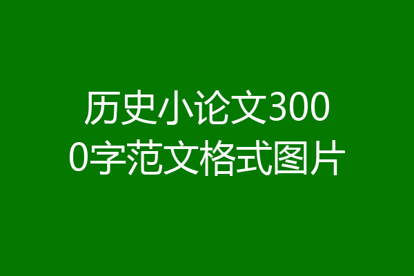 历史小论文3000字范文格式图片