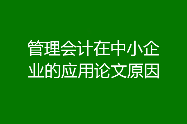管理会计在中小企业的应用论文原因