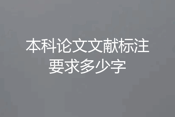 本科论文文献标注要求多少字