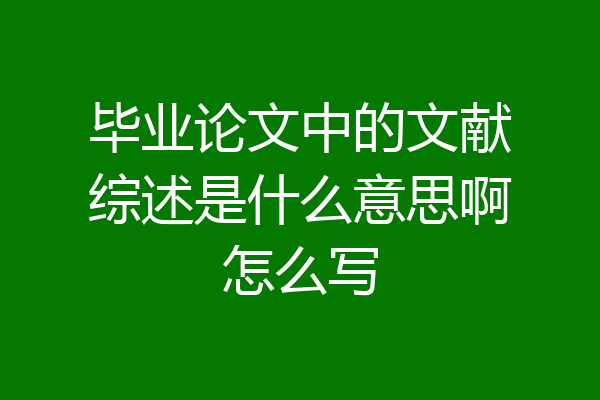 毕业论文中的文献综述是什么意思啊怎么写