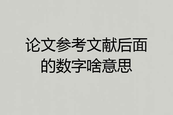 论文参考文献后面的数字啥意思