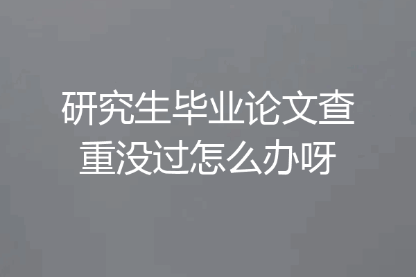 研究生毕业论文查重没过怎么办呀