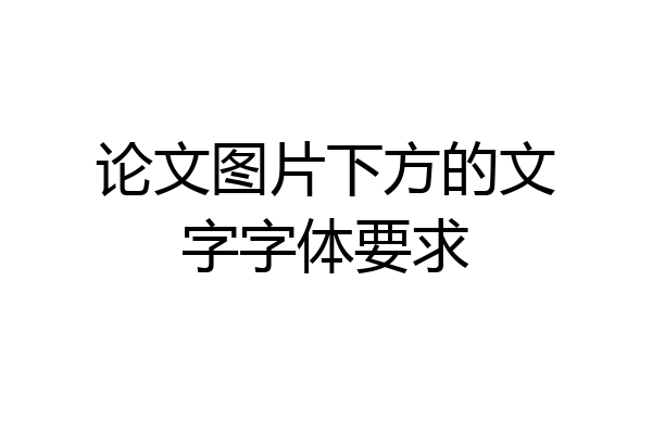 论文图片下方的文字字体要求