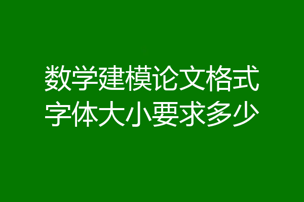 数学建模论文格式字体大小要求多少