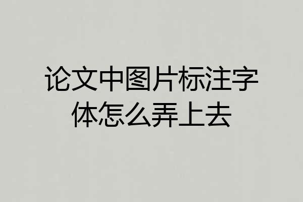论文中图片标注字体怎么弄上去