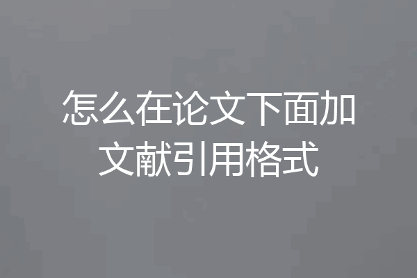 怎么在论文下面加文献引用格式