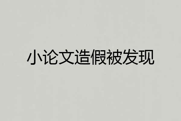 小论文造假被发现