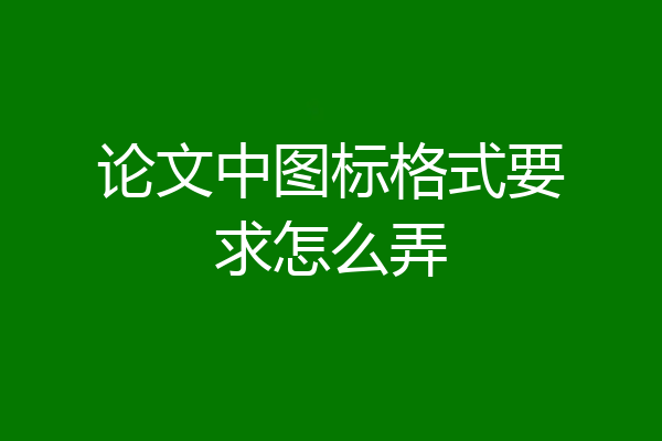 论文中图标格式要求怎么弄
