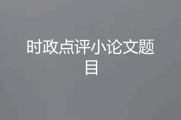 时政点评小论文题目