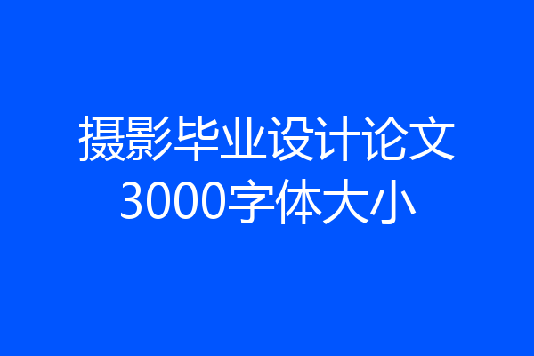 摄影毕业设计论文3000字体大小