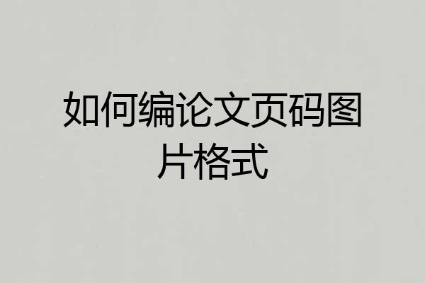 如何编论文页码图片格式