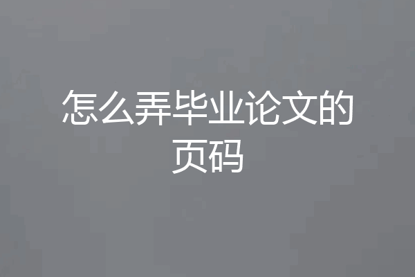 怎么弄毕业论文的页码