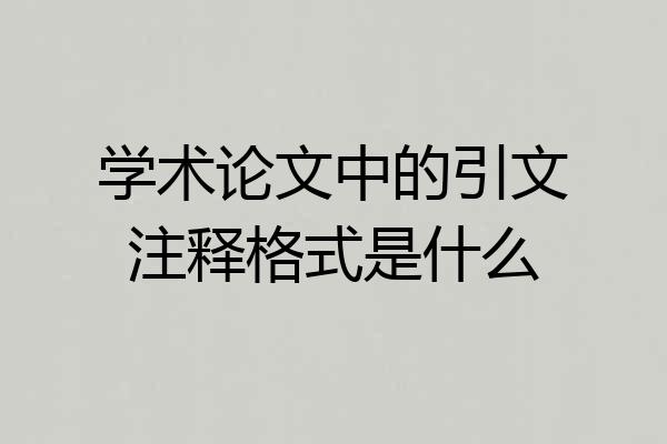学术论文中的引文注释格式是什么