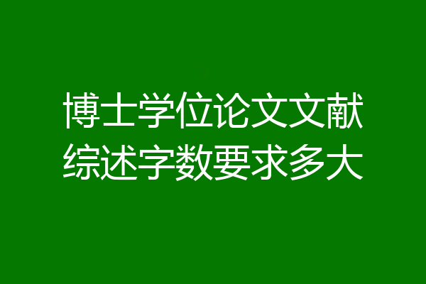 博士学位论文文献综述字数要求多大