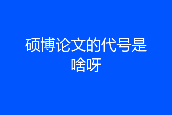 硕博论文的代号是啥呀