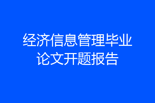经济信息管理毕业论文开题报告