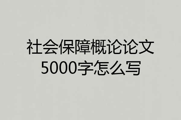 社会保障概论论文5000字怎么写