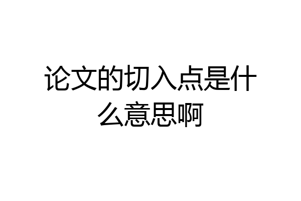 论文的切入点是什么意思啊