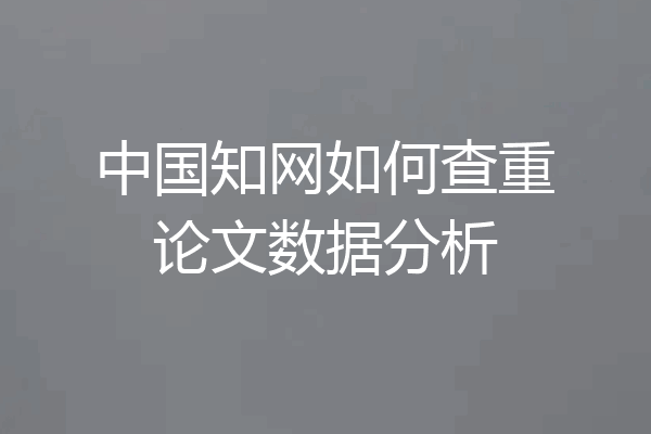 中国知网如何查重论文数据分析