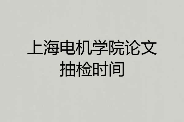 上海电机学院论文抽检时间