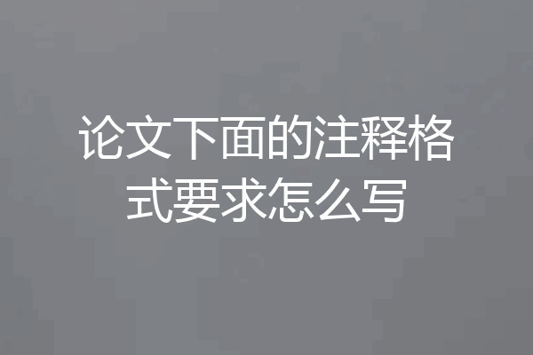 论文下面的注释格式要求怎么写