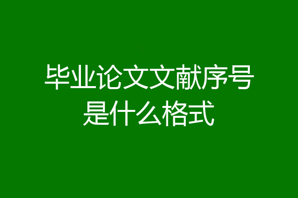 毕业论文文献序号是什么格式