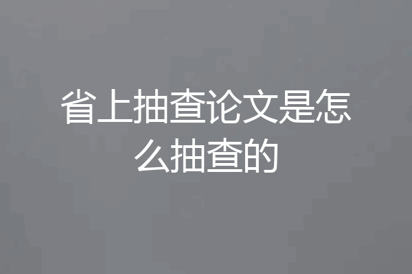 省上抽查论文是怎么抽查的