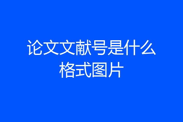 论文文献号是什么格式图片