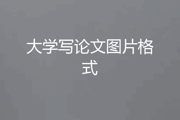 大学写论文图片格式