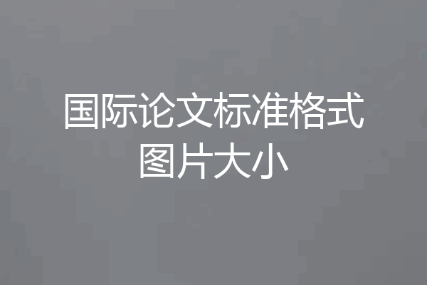 国际论文标准格式图片大小