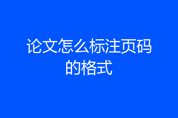 论文怎么标注页码的格式