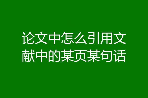 论文中怎么引用文献中的某页某句话