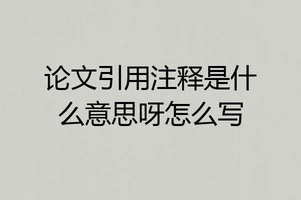 论文引用注释是什么意思呀怎么写