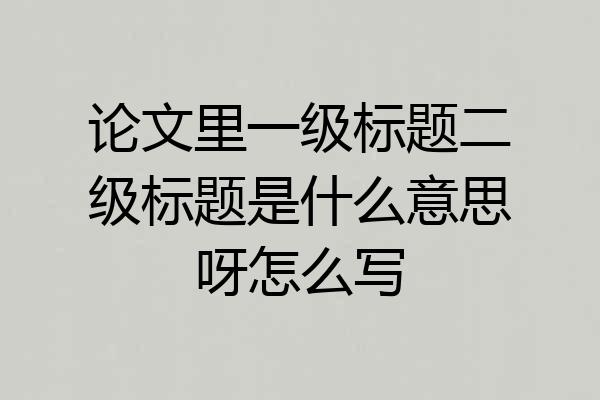 论文里一级标题二级标题是什么意思呀怎么写