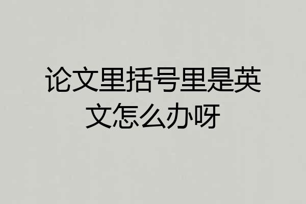 论文里括号里是英文怎么办呀