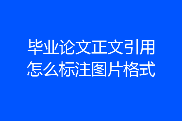 毕业论文正文引用怎么标注图片格式