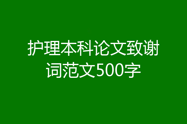 护理本科论文致谢词范文500字