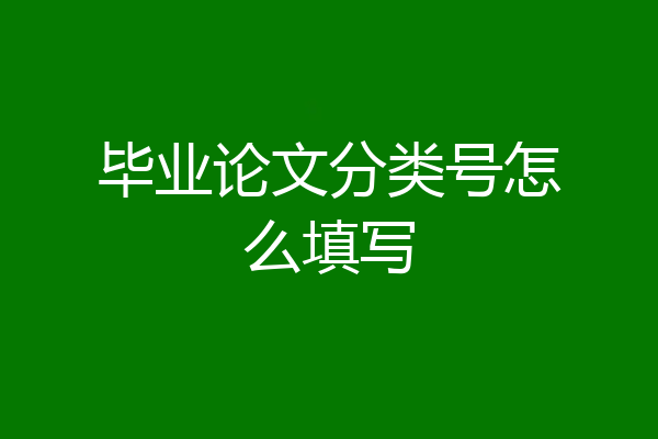 毕业论文分类号怎么填写